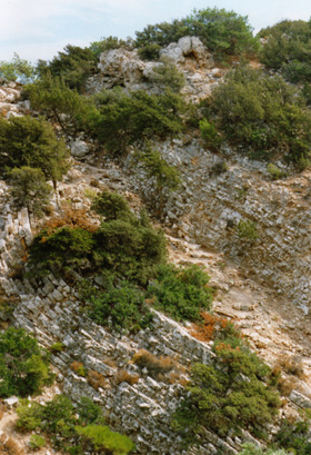 Limestone layers inland, from Korfos to Vatsian  A. van Roekel