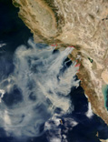Forest fires  Nasa