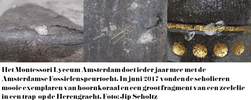 Schatkaart voor Amsterdammertjes'