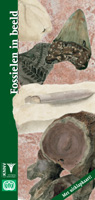 Cover 'Fossielen in beeld'