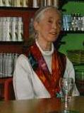 Jane Goodall  A. van Roekel