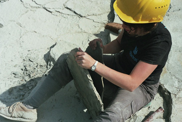 Splitting limestone  A. van Roekel