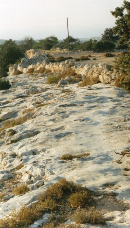 Footpath on ancient coral reef  A. van Roekel