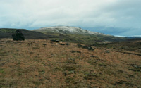 Typical Icelandic landscape © A. van Roekel