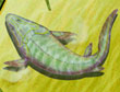 Panderichthys, voorloper van de tetrapode © Wikimedia Commons
