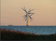 Deens windpark © Edin